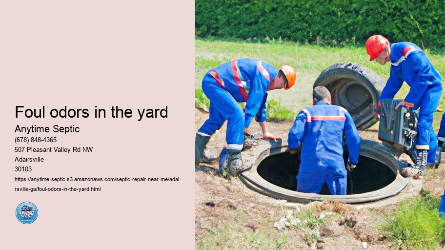 Foul odors in the yard