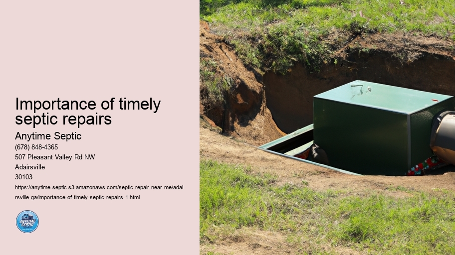 Importance of timely septic repairs