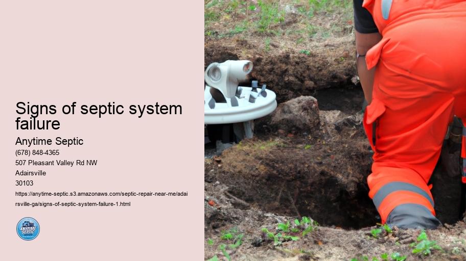 Signs of septic system failure