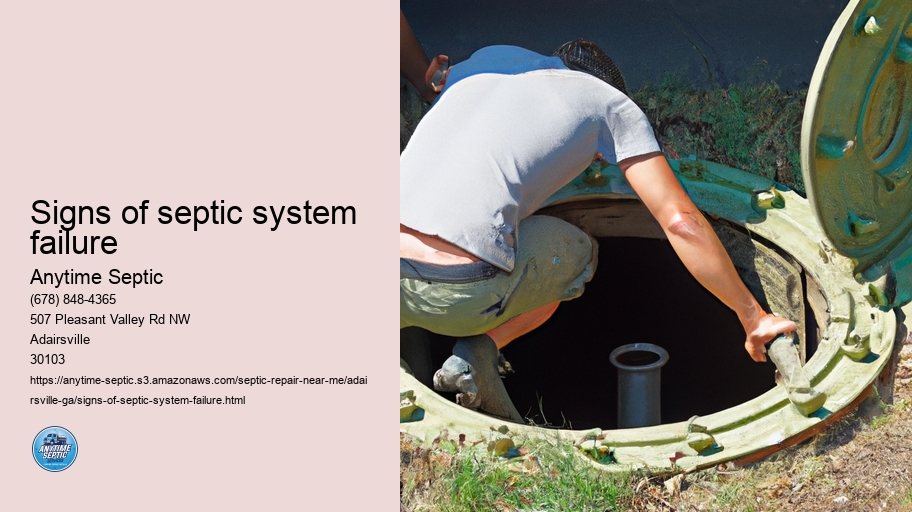 Signs of septic system failure